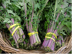 Kale Atlas Farm