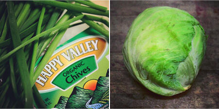 Chives & Cabbage | Boston Organics