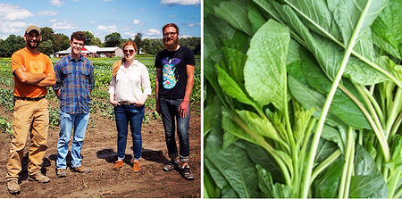 Farm Visit Callaloo | Boston Organics