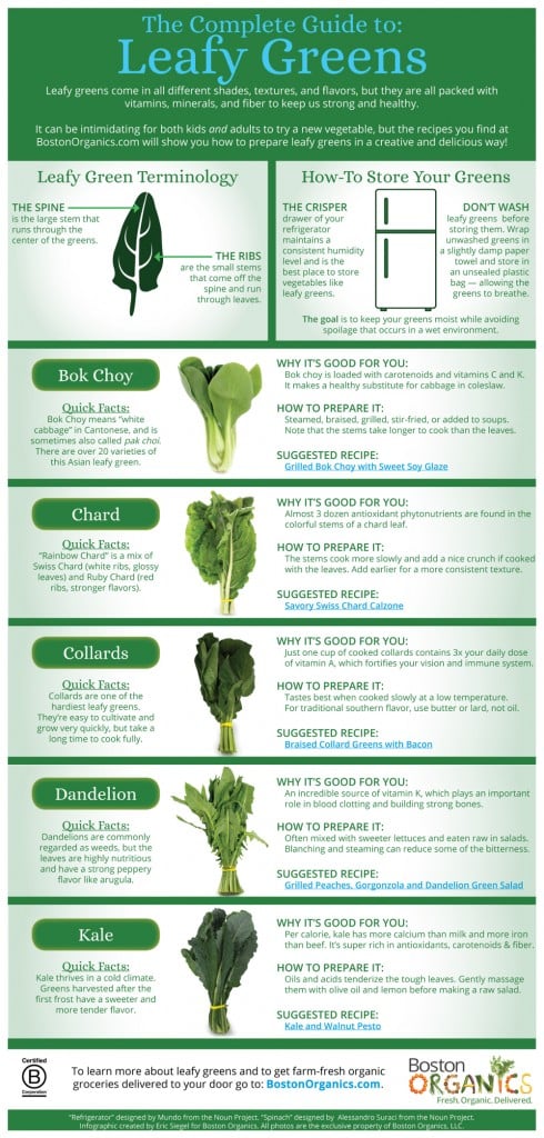 an image from the blogpost The Complete Guide to Leafy Greens (Infographic)