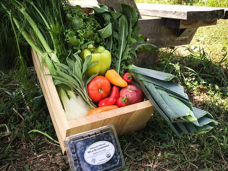 Local Dogma Box | Boston Organics