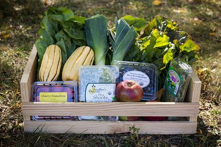 Local Dogma Box | Boston Organics