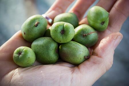 Kiwi Berry Hand | Boston Organics