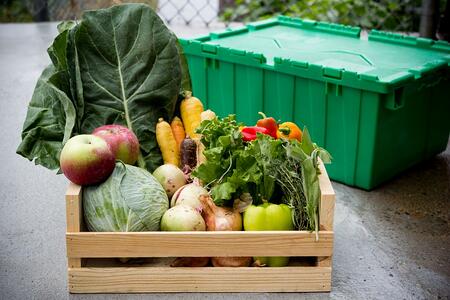 Local Dogma Box | Boston Organics