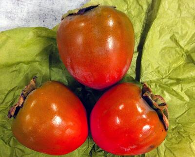 Hachiya Persimmons | Boston Organics Newsletter