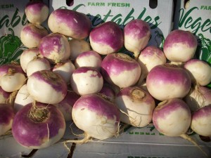 Winter Moon Farm Purple Top Turnips