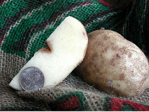 Hollow Heart Potato