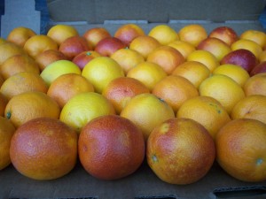 Organic Blood Oranges