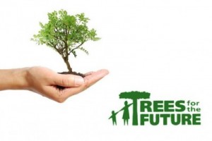 Trees-for-the-Future