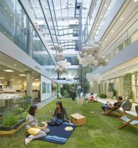 How to Make an Office Garden!