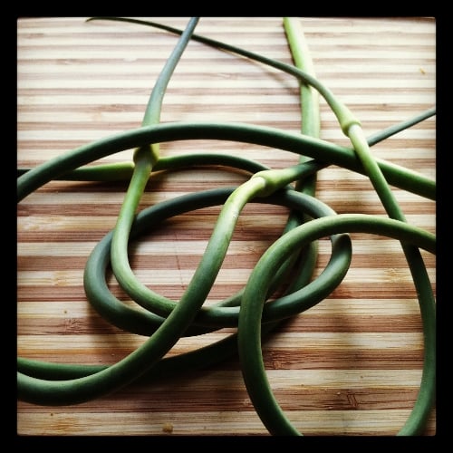 an image from the blogpost Garlic Scape Salad Dressing!