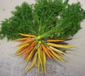 an image from the blogpost Bunched Carrots