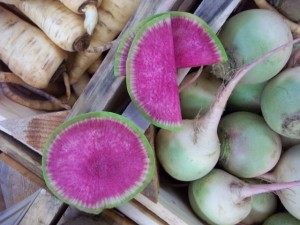 Organic Watermelon Radish