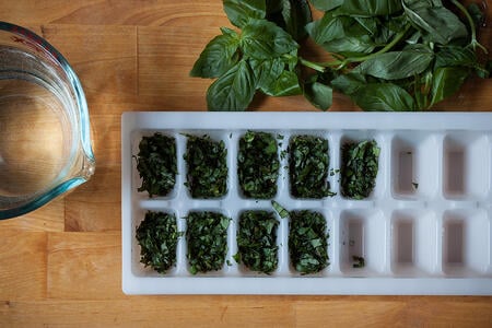 Preserving Fresh Basil | Boston Organics