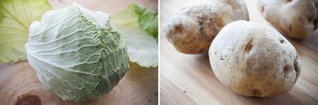 Irish Cabbage and Potato St. Patrick's | Boston Organics