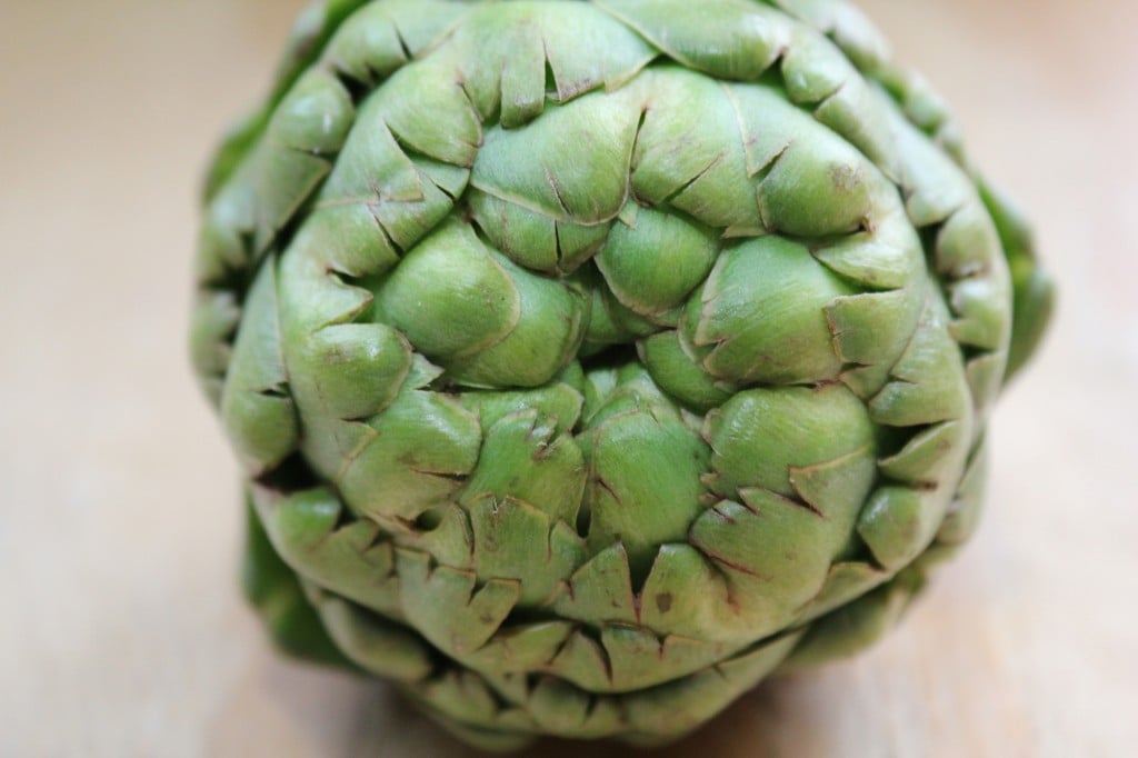 an image from the blogpost The Case for Artichokes