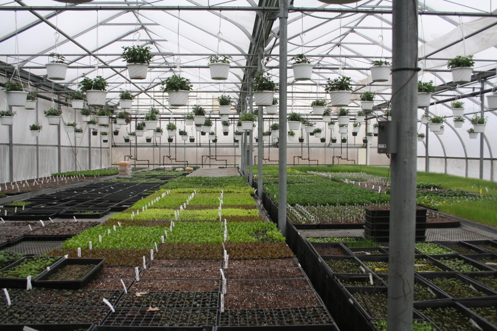 Red Fire Farm Greenhouse | Boston Organics