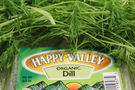 Fresh Organic Dill | Boston Organics