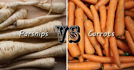 Parsnips vs. Carrots | Boston Organics