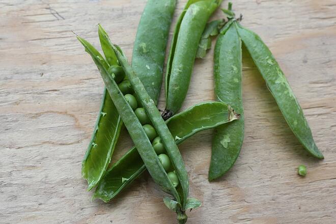 English Shelling Peas | Boston Organics