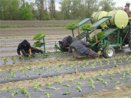 Organic Farming