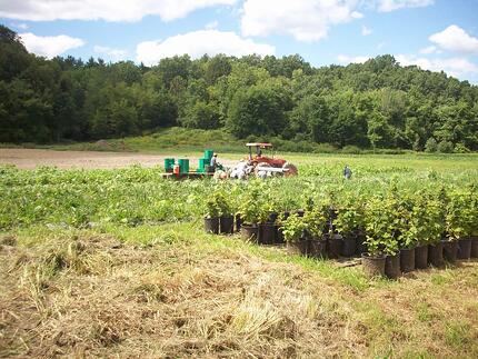 Atlas Farm