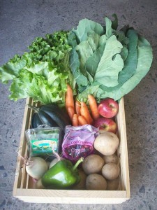 Dogma Box Local Produce 