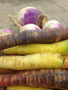 Rainbow Carrots and Turnips