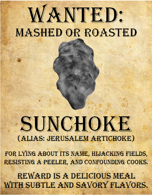 an image from the blogpost The Sunchoke Revealed