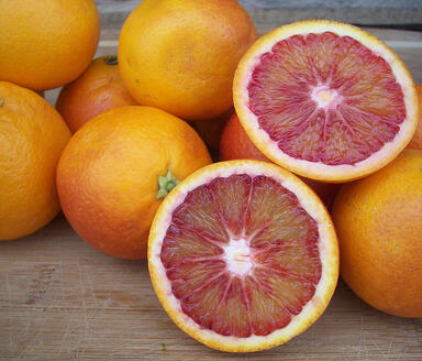 Blood Orange | Boston Organics