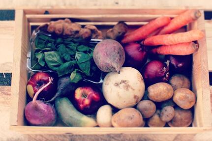 Dogma Box | Local Organic