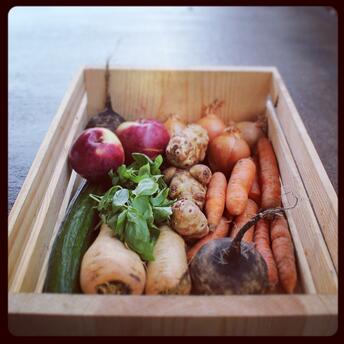 Dogma Box | Local Organic