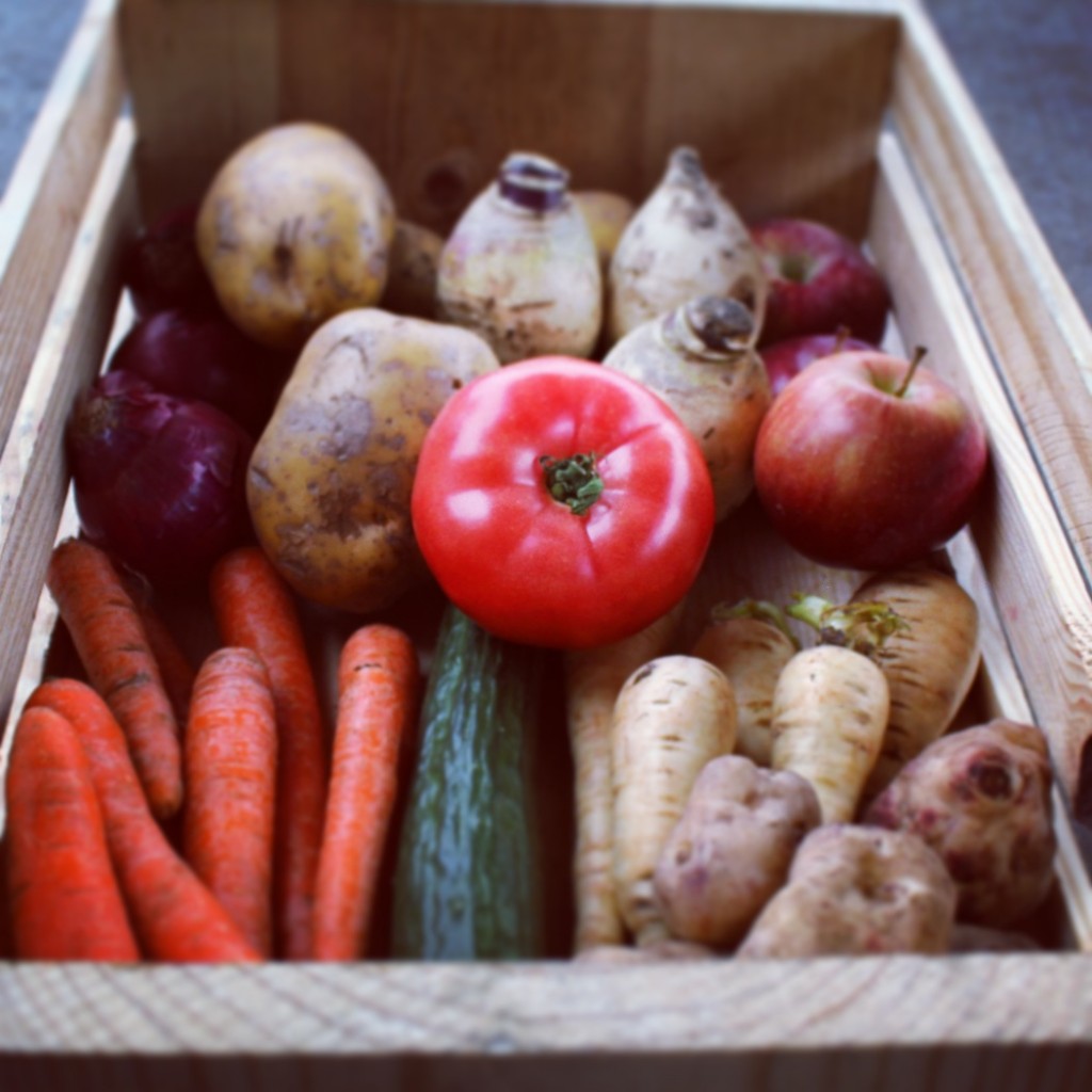 Local Produce | Boston Organics
