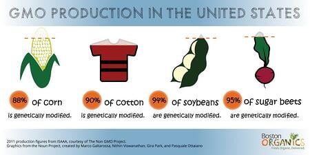 GMO Percentage Infographic | Boston Organics