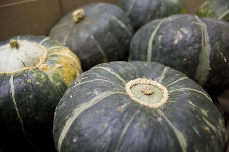 Buttercup Squash | Boston Organics