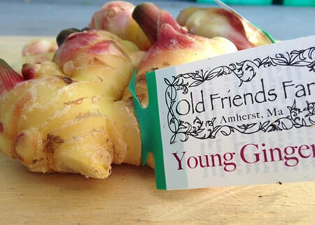 Young Ginger from Old Friends Farm | Boston Organics