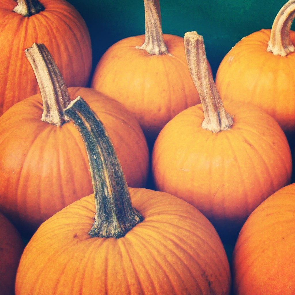an image from the blogpost Ripe for the Pumpkining:Weekly Newsletter (November 3, 2014)