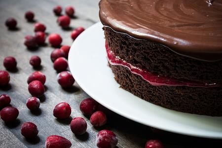cranberry chocolate cake | boston organics