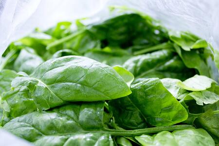 Bunched Spinach | Dwight Miller & Boston Organics