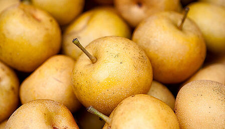 Asian Pears