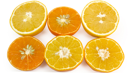 Citrus slices | Boston Organics