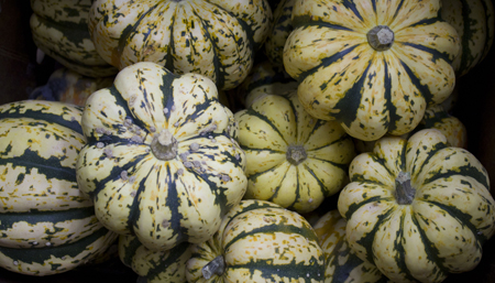 Organic Carnival Squash | Boston Organics