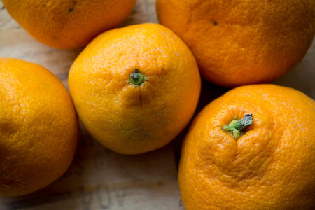 Organic Citrus | Boston Organics