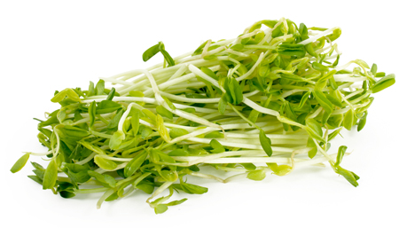 Organic Pea Shoots | Boston Organics