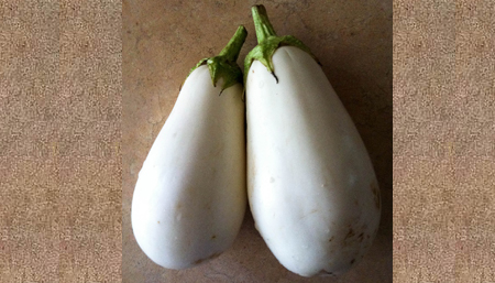 white_eggplant2