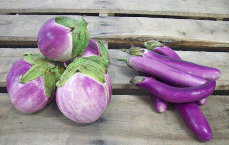 Eggplant Varieties| Italian Asian | Boston Organics