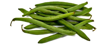 Organic Green Beans | Boston Organics