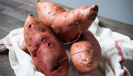 Organic Sweet Potatoes | Boston Organics