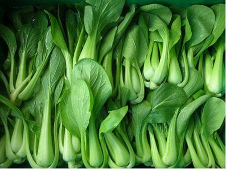 Organic Baby Bok Choy | Boston Organics