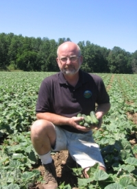 an image from the blogpost Grower Profile: Pedersen Farms